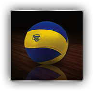 Balon Publicitario Volleyball 